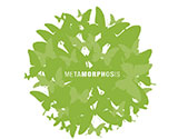 Sustainability Report 2009 – GRI Level B+