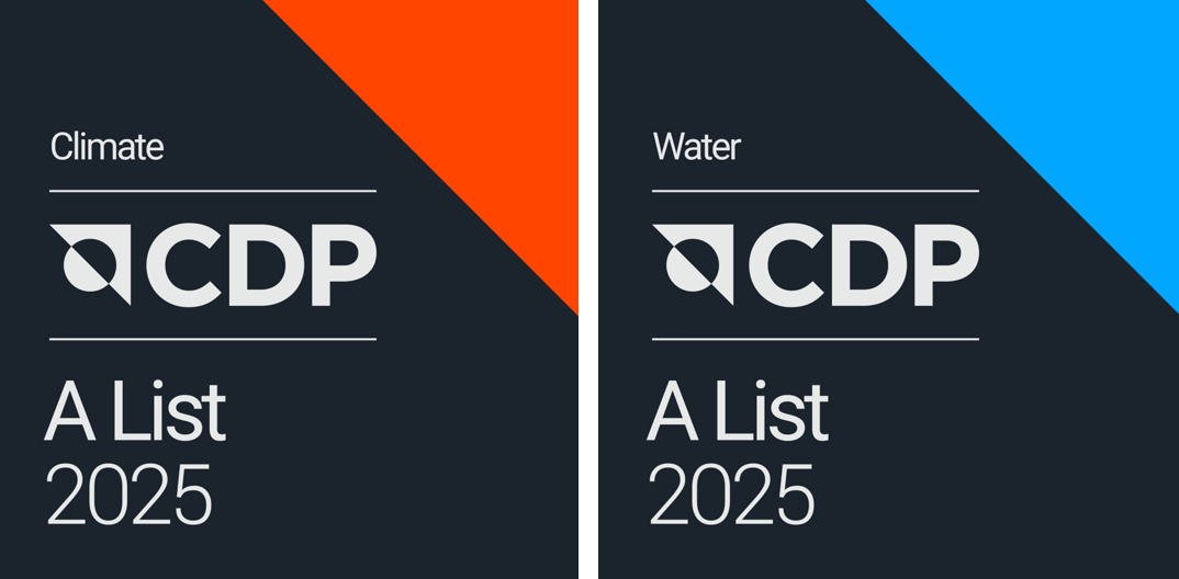 cdp web logo 1